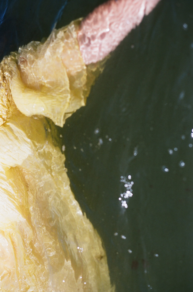 Portræt af Kristina Demant ved havet, fotograferet på analog film af Gyrithe Lemche.